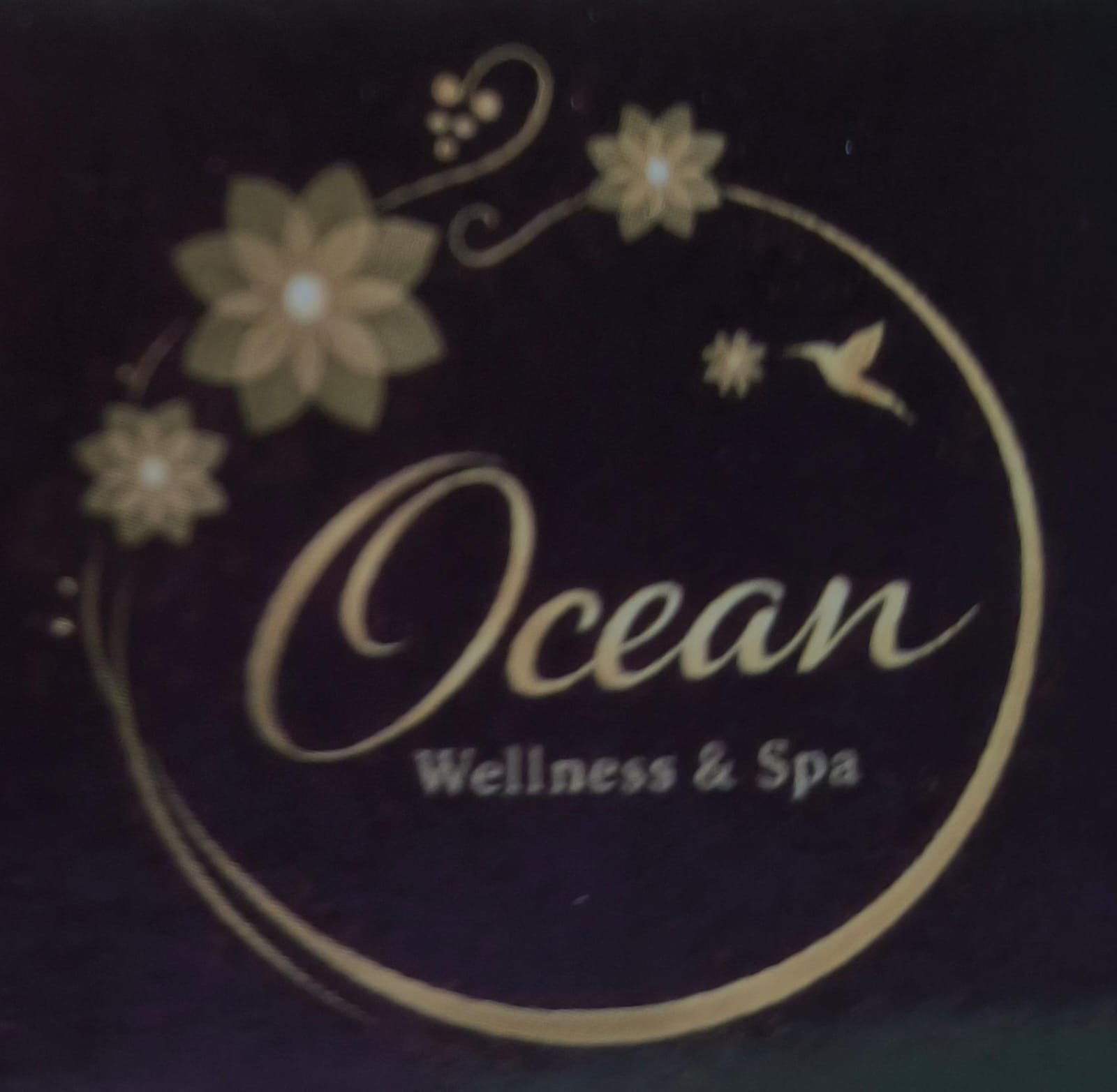 Ocean Wellness & Spa Kannur